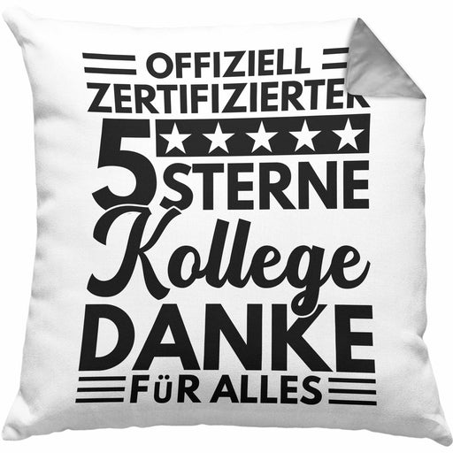 Bester Kollege Der Welt Kissen mit Füllung 40x40 Geschenk Abschied Neuer Job Kollege Geschenkidee Abschiedsgeschenk (Grau) Grau Trendation