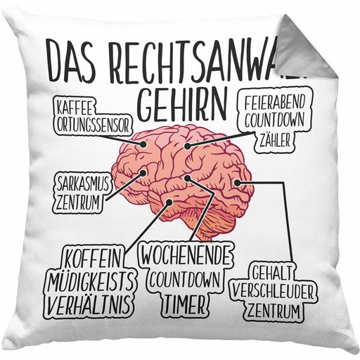 Jura Kissen mit Füllung 40x40 Geschenk Spruch Jurist Geschenkidee Anwalt Jura-Studium Lustige Sprüche (Grau) Grau Trendation
