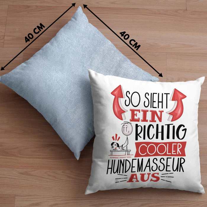 Hundemasseur Kissen mit Füllung 40x40 So Sieht Ein Richtig Cooler Hundemasseur Aus Geschenk Lustiger Spruch Geschenkidee (Grau) Blau Trendation