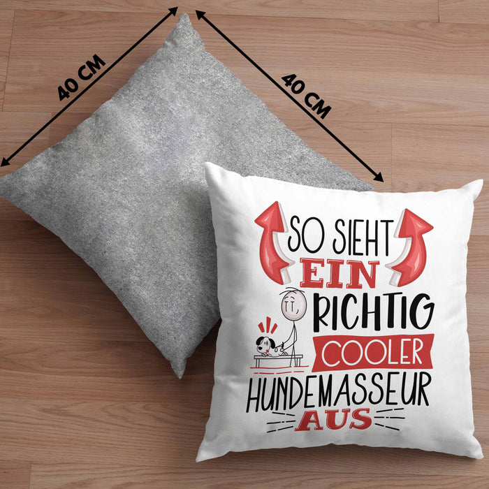 Hundemasseur Kissen mit Füllung 40x40 So Sieht Ein Richtig Cooler Hundemasseur Aus Geschenk Lustiger Spruch Geschenkidee (Grau) Grau Trendation