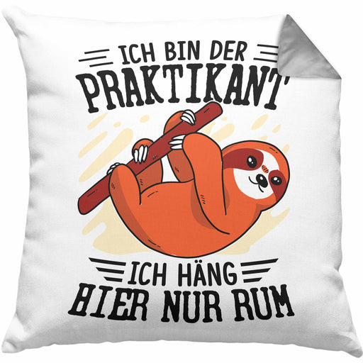 Praktikant Kissen mit Füllung 40x40 Geschenk Lustiger Spruch Ich Bin Der Praktikant Ich Häng Hier Nur Ab (Grau) Grau Trendation