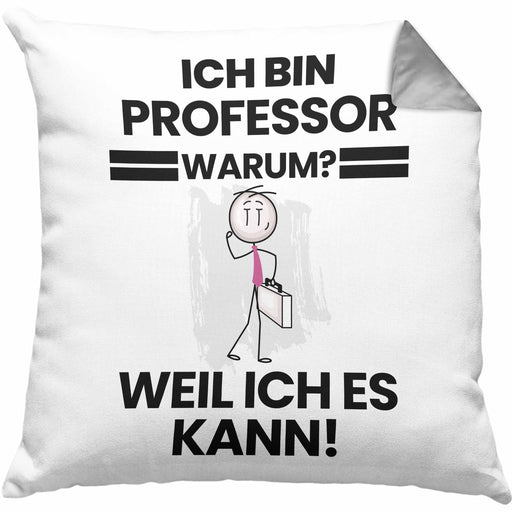 Professor Geschenk Kissen mit Füllung 40x40 Lustiger Spruch Ich Bin Professor Warum Weil Ich Es Kann Geschenkidee Bester Professor Geburtstag (Grau) Grau Trendation