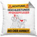 Pferdepfleger Kissen mit Füllung 40x40 Geschenk Lustiger Spruch Geschenkidee für Pferdepfleger Achtung Hochleistungs Pferdepfleger Bei Der Arbeit (Grau) Grau Trendation