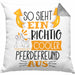 Pferdefreund Kissen mit Füllung 40x40 So Sieht Ein Richtig Cooler Pferdefreund Aus Geschenk Lustiger Spruch Geschenkidee (Grau) Grau Trendation