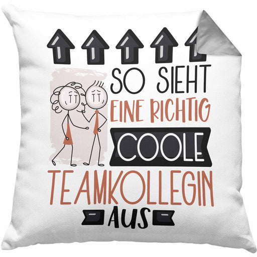 Teamkollegin Geschenk Kissen mit Füllung 40x40 Lustig Geschenkidee für Teamkollegin Geburtstag So Sieht Eine Richtig Coole Teamkollegin Aus Frauen Spruch (Grau) Grau Trendation