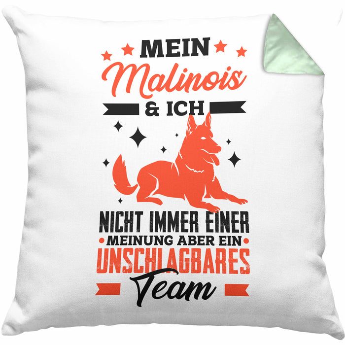 Malinois Kissen mit Füllung 40x40 Geschenk Hundebesitzer Unschlagbares Team (Grau) Grün Trendation