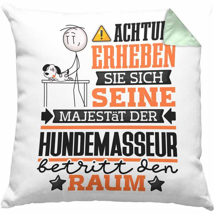Hundemasseur Geschenk Kissen mit Füllung 40x40 Lustiger Spruch Erheben Sie Sich Der Hundemasseur Betritt den Raum (Grau) Grün Trendation