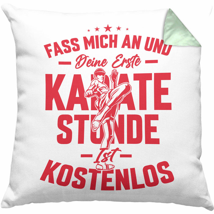 Karate Kissen mit Füllung 40x40 Geschenk Fass Mich An Und Deine Erste Karate Stunde Ist Umsonst (Grau) Grün Trendation