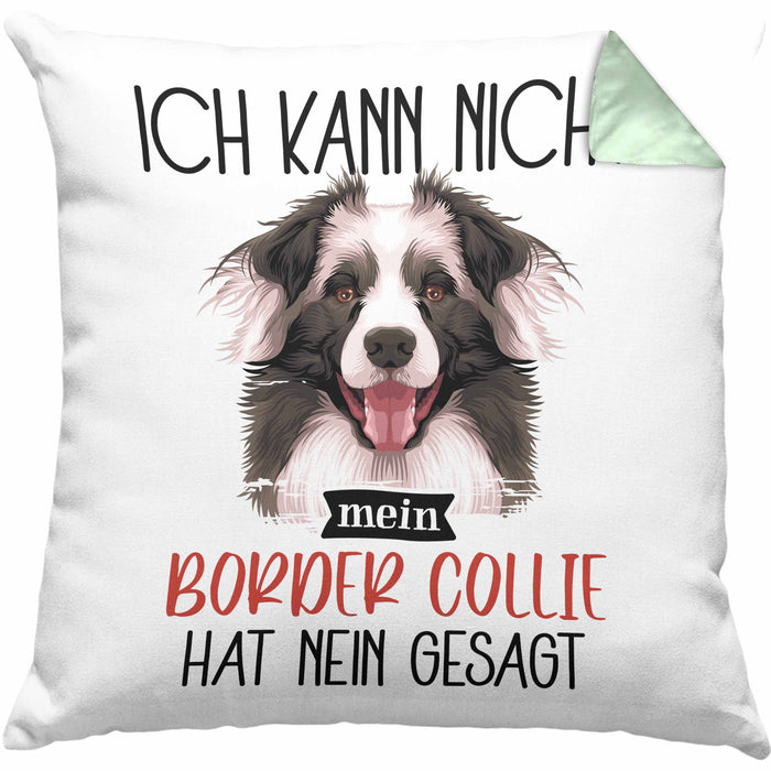 Border Collies Besitzer Kissen mit Füllung 40x40 Geschenk Lustiger Spruch Geschenkidee Ich Kann Nicht Mein Border Collies Hat Nein Gesagt (Grau) Grün Trendation