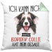 Border Collies Besitzer Kissen mit Füllung 40x40 Geschenk Lustiger Spruch Geschenkidee Ich Kann Nicht Mein Border Collies Hat Nein Gesagt (Grau) Grün Trendation