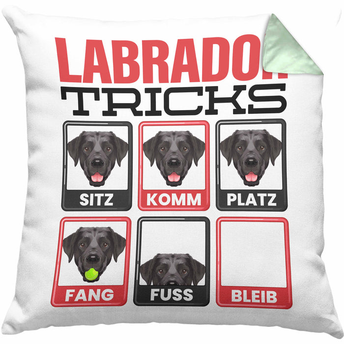 Labrador Besitzer Kissen mit Füllung 40x40 Geschenk Lustiger Spruch Geschenkidee Labrador Tricks Bleib (Grau) Grün Trendation