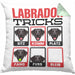 Labrador Besitzer Kissen mit Füllung 40x40 Geschenk Lustiger Spruch Geschenkidee Labrador Tricks Bleib (Grau) Grün Trendation