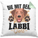 Die Mit Dem Labbi Geht Kissen mit Füllung 40x40 Gassi Gehen Labrador Besitzerin Geschenkidee Frauchen Geschenk (Grau) Grün Trendation
