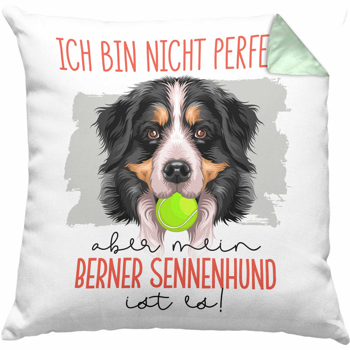Berner Sennen Besitzer Kissen mit Füllung 40x40 Geschenk Lustiger Spruch Geschenkidee Besitzerin Ich Bin Nicht toll Aber Mein Berner Sennen Ist Es (Grau) Grün Trendation