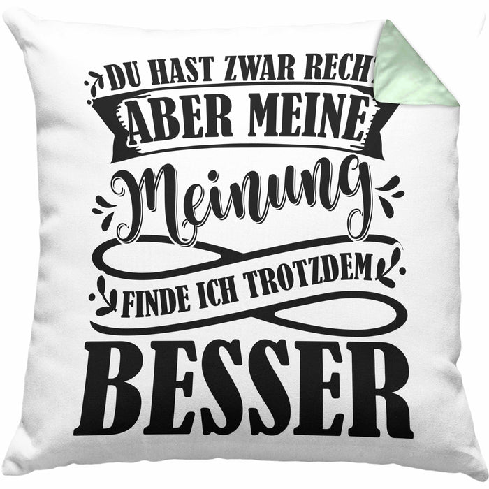 Du Hast Zwar Recht Aber Meine Meinung Finde Ich Trotzdem Besser Kissen mit Füllung 40x40 Geschenk Lustiger Spruch Häferl (Grau) Grün Trendation