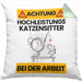 Katzensitter Kissen mit Füllung 40x40 Geschenk Lustiger Spruch Geschenkidee für Katzensitter Achtung Hochleistungs Katzensitter Bei Der Arbeit (Grau) Grün Trendation