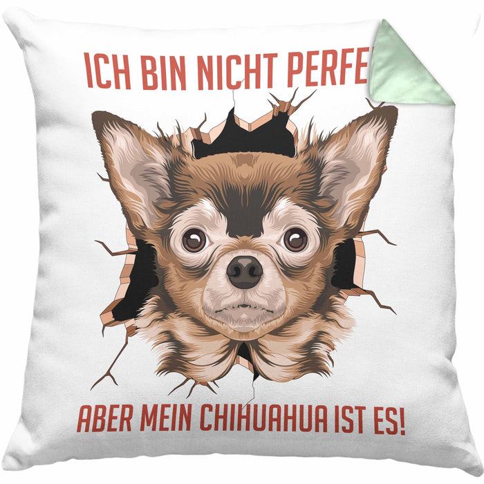Chihuhahua Besitzer Kissen mit Füllung 40x40 Geschenk Geschenkidee Frauchen Herrchen Ich Bin Nicht Perfekt Aber Mein Chihuaha Ist Es (Grau) Grün Trendation