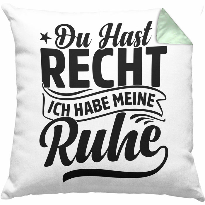 Ehemann Kissen mit Füllung 40x40 Geschenk Ehefrau Geschenkidee Du Hast Recht Ich Hab Meine Ruhe Geschenkidee Arbeitskollege (Grau) Grün Trendation