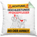 Pferdepfleger Kissen mit Füllung 40x40 Geschenk Lustiger Spruch Geschenkidee für Pferdepfleger Achtung Hochleistungs Pferdepfleger Bei Der Arbeit (Grau) Grün Trendation