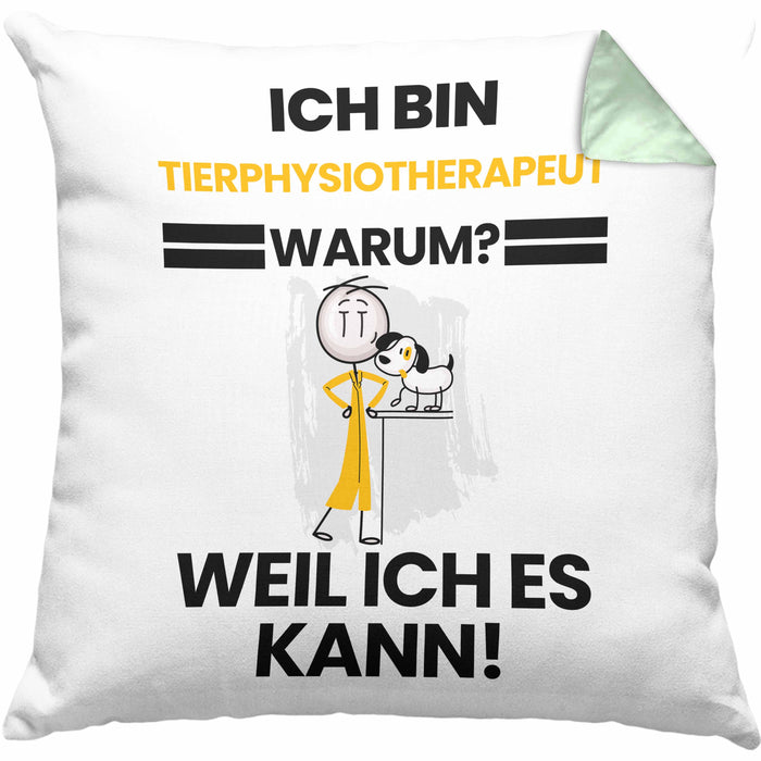Tierphysiotherapeut Geschenk Kissen mit Füllung 40x40 Lustiger Spruch Ich Bin Tierphysiotherapeut Warum Weil Ich Es Kann Geschenkidee Bester Tierphysiotherapeut Geburtstag (Grau) Grün Trendation