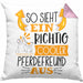 Pferdefreund Kissen mit Füllung 40x40 So Sieht Ein Richtig Cooler Pferdefreund Aus Geschenk Lustiger Spruch Geschenkidee (Grau) Rosa Trendation