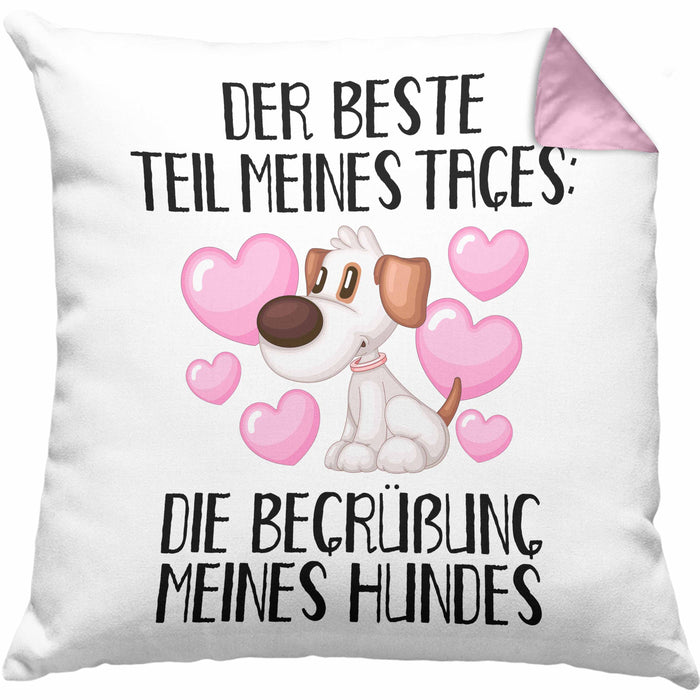 Hundebesitzer Kissen mit Füllung 40x40 Geschenk Bester Teil Des Tages Die Begrüßung Meines Hundes Geschenkidee Hunde Mama Frauchen Herrchen (Grau) Rosa Trendation