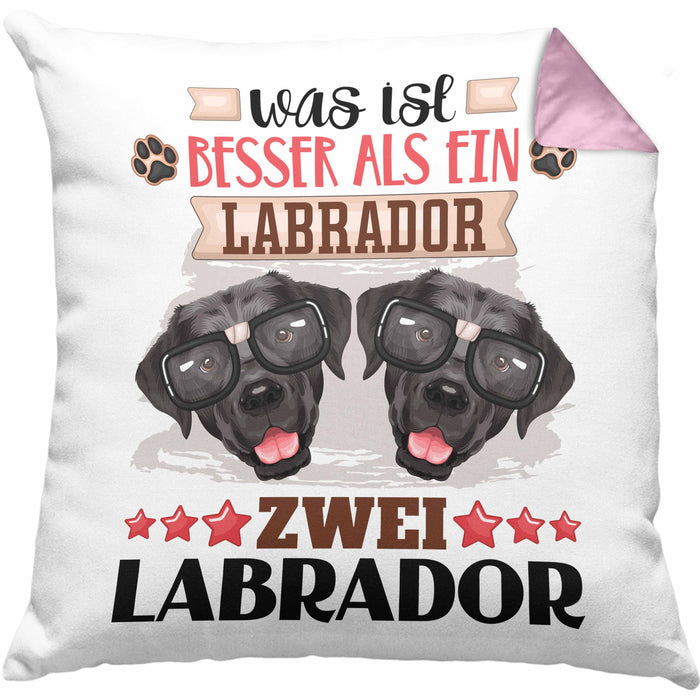 Labrador Besitzer Kissen mit Füllung 40x40 Geschenk Lustiger Spruch Geschenkidee Was Ist Besser Als Ein Labrador (Grau) Rosa Trendation