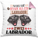 Labrador Besitzer Kissen mit Füllung 40x40 Geschenk Lustiger Spruch Geschenkidee Was Ist Besser Als Ein Labrador (Grau) Rosa Trendation