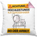 Katzenliebhaber Kissen mit Füllung 40x40 Geschenk Lustiger Spruch Geschenkidee für Katzenliebhaber Achtung Hochleistungs Katzenliebhaber Bei Der Arbeit (Grau) Rosa Trendation