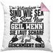 Waldarbeiter Kissen mit Füllung 40x40 Geschenk Kettensägen Sind Wie S** Sie Sind Nur G**** Wenn Sie Laut Scharf Und Gut Geschmiert Sind (Grau) Rosa Trendation