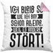 Lustige Kissen mit Füllung 40x40 Mit SpruchIch Bleib So Wie Ich Bin Schon Alleine Weil Es Andere Stört Sprüche Geschenkidee Kollege (Grau) Rosa Trendation