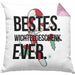 Schrott-Wichtelgeschenk für Frauen Kollegen Geschenk Wichteln Weihnachten Bestes Wichtelgeschenk Ever geschenkidee SchrottwichtelnKissen mit Füllung 40x40 (Grau) Rosa Trendation