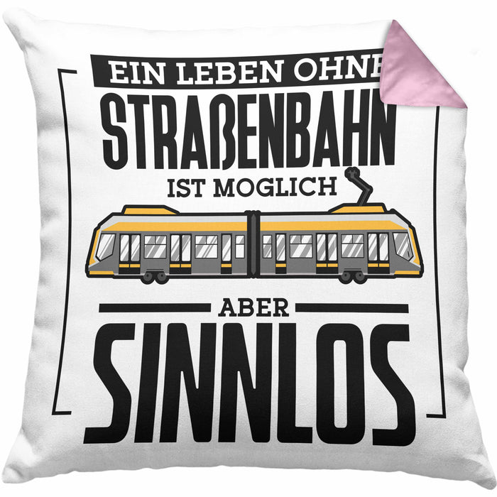 Lustige Kissen mit Füllung 40x40 Geschenk Spruch Lustig Normale Menschen Machen Mir Angst Geschenkidee Geburtstag (Grau) Rosa Trendation