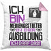 Mediengestalter Ausbildung Kissen mit Füllung 40x40 Geschenk Ich Bin Mediengestalter In Der Ausbildung Ich Darf Das Geschenkidee Spruch (Grau) Rosa Trendation