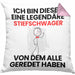 Stiefschwager Geschenk Kissen mit Füllung 40x40 Lustige Geschenkidee Geburtstag für Stiefschwager Ich Bin Dieser Legendäre Stiefschwager Von Dem Alle Geredet Haben (Grau) Rosa Trendation