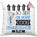 Ernährungsberaterin Geschenk Kissen mit Füllung 40x40 Lustig Geschenkidee für Ernährungsberaterin Geburtstag So Sieht Eine Richtig Coole Ernährungsberaterin Aus Frauen Spruch (Grau) Rosa Trendation
