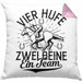 Reiterin Kissen mit Füllung 40x40 Spruch Geschenk Pferde-Liebhaberin Geschenkidee Mädchen Vier Hufe Zwei Beine Ein Team (Grau) Rosa Trendation