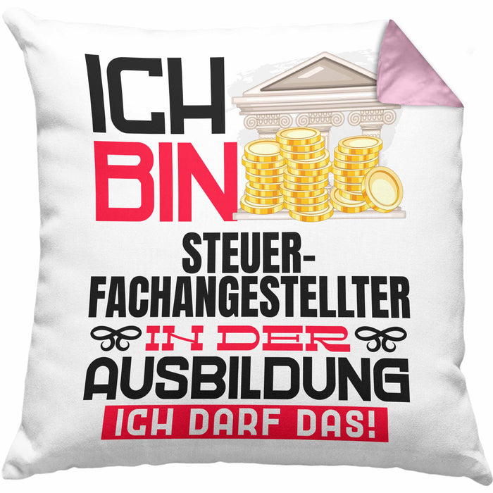 Steuerfachangestellter Ausbildung Kissen mit Füllung 40x40 Geschenk Ich Bin Steuerfachangestellter In Der Ausbildung Ich Darf Das Geschenkidee Spruch (Grau) Rosa Trendation