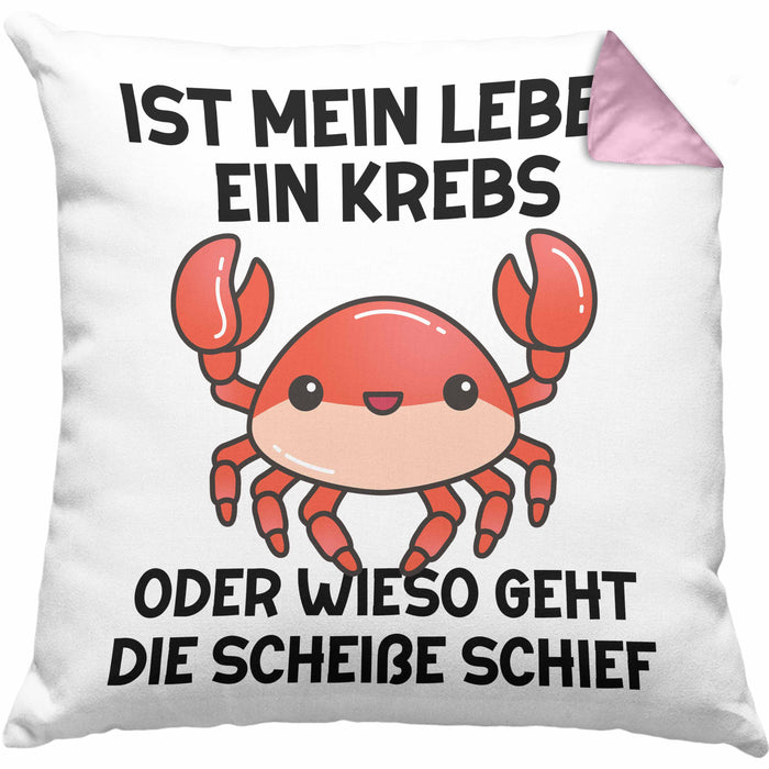 Dank Meme Kissen mit Füllung 40x40 Spruch Internet Meme Geschenkidee Depressionen Ist Mein Leben Ein Krebs Oder Wieso Geht Die SCH Schief? (Grau) Rosa Trendation