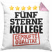 Bester Kollege Kissen mit Füllung 40x40 Geschenk für Besten Arbeitskollegen Lustiger Spruch 5 Sterne Kollege Geprüfte Qualität (Grau) Rosa Trendation