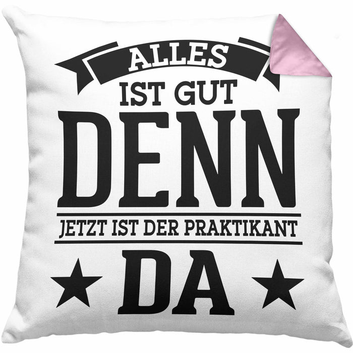 Praktikant Kissen mit Füllung 40x40 Geschenk Lustiger Spruch Alles Gut Denn Jetzt Ist Der Praktikant Da (Grau) Rosa Trendation