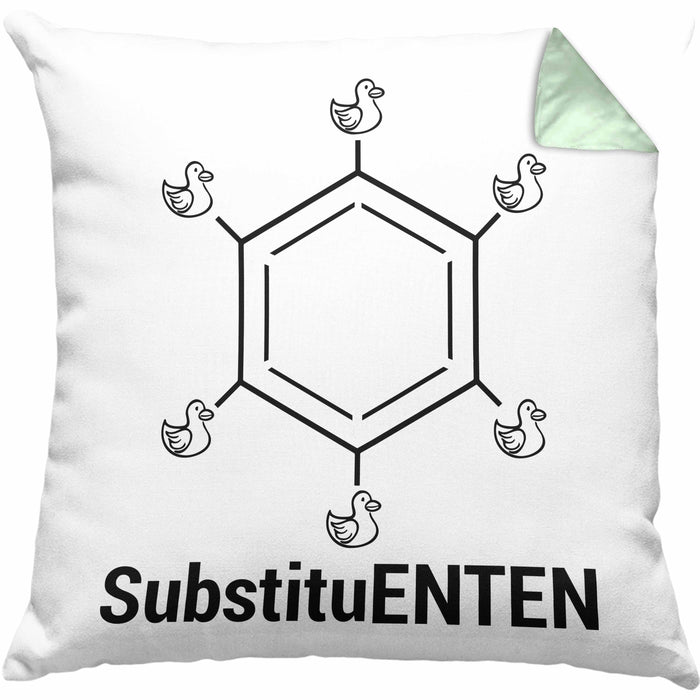 Chemie Kissen mit Füllung 40x40 SubstituENTEN Chemiker Witz Organische Chemie Ente Kaffee Geschenkidee (Grau) Grün Trendation