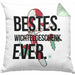 Schrott-Wichtelgeschenk für Frauen Kollegen Geschenk Wichteln Weihnachten Bestes Wichtelgeschenk Ever geschenkidee SchrottwichtelnKissen mit Füllung 40x40 (Grau) Grün Trendation