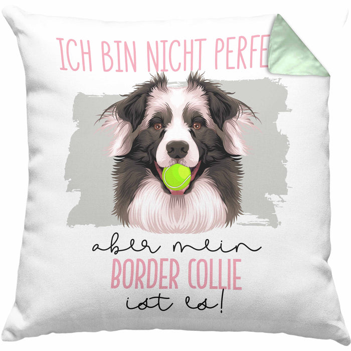 Border Collies Besitzer Kissen mit Füllung 40x40 Geschenk Lustiger Spruch Geschenkidee Besitzerin Ich Bin Nicht toll Aber Mein Border Collies Ist Es (Grau) Grün Trendation