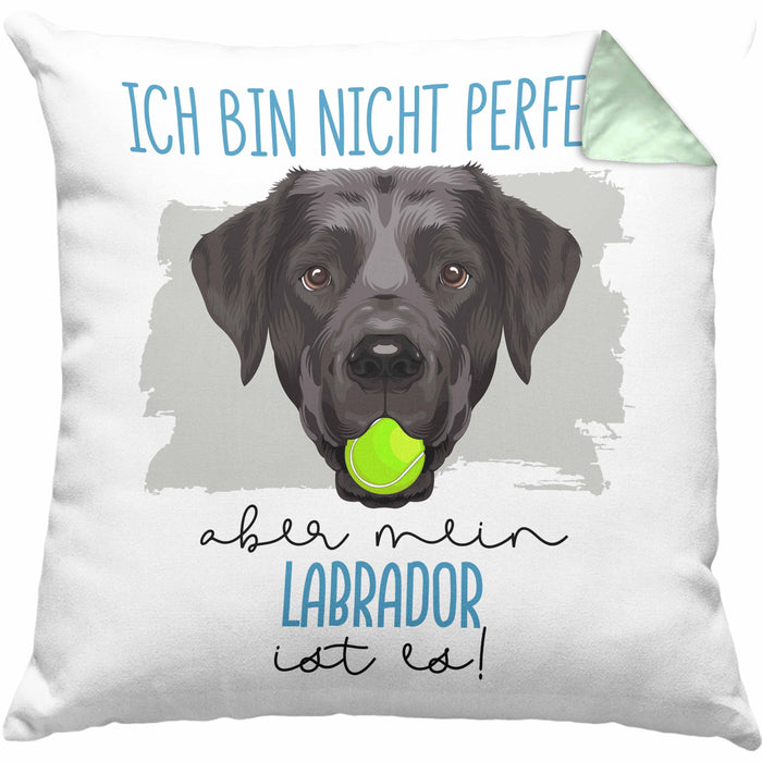 Labrador Besitzer Kissen mit Füllung 40x40 Geschenk Lustiger Spruch Geschenkidee Besitzerin Ich Bin Nicht toll Aber Mein Labrador Ist Es (Grau) Grün Trendation