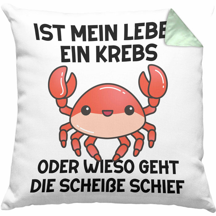 Dank Meme Kissen mit Füllung 40x40 Spruch Internet Meme Geschenkidee Depressionen Ist Mein Leben Ein Krebs Oder Wieso Geht Die SCH Schief? (Grau) Grün Trendation