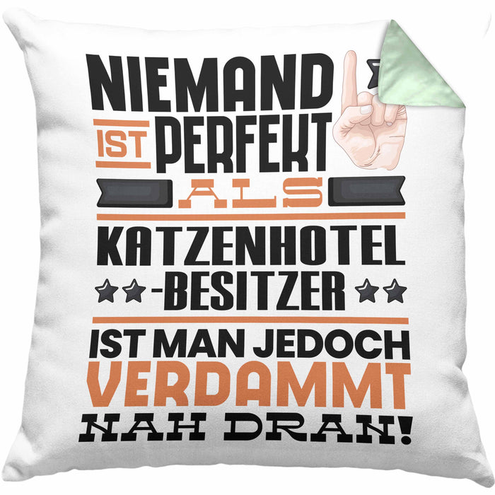 Katzenhotelbesitzer Geschenk Kissen mit Füllung 40x40 Lustige Geschenkidee für Katzenhotelbesitzer Geburtstag Niemand Ist Perfekt Aber Als Katzenhotelbesitzer Ist Man Nah Dran (Grau) Grün Trendation