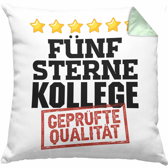 Bester Kollege Kissen mit Füllung 40x40 Geschenk für Besten Arbeitskollegen Lustiger Spruch 5 Sterne Kollege Geprüfte Qualität (Grau) Grün Trendation
