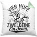 Reiterin Kissen mit Füllung 40x40 Spruch Geschenk Pferde-Liebhaberin Geschenkidee Mädchen Vier Hufe Zwei Beine Ein Team (Grau) Grün Trendation