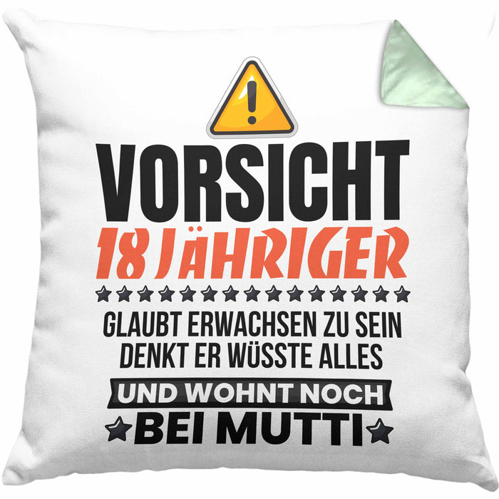 18. Geburtstag Kissen mit Füllung 40x40 Geschenk Jungs Männer Vorsicht 18 Jähriger Glaubt Erwachsen Zu Sein Wohnt Noch Bei Mutti (Grau) Grün Trendation